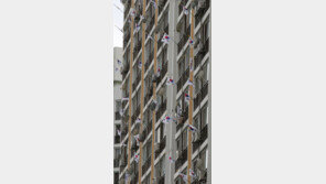 5대 국경일 중 유일하게 ‘빨간 날’ 아닌 제헌절, 공휴일로 재지정될까? 여론 보니…