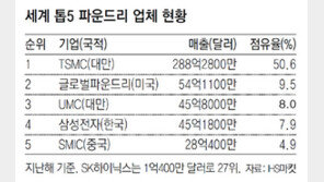 “시스템반도체 분야 대만 아성 깬다”