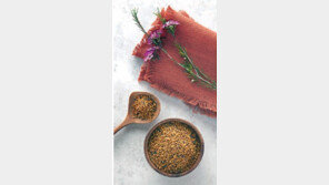 [스마트 컨슈머]꿀벌이 준 선물, 천연 종합영양제 ‘비폴렌’ 