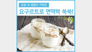 우유로 만든 수제 요구르트, 면역력 개선에 도움