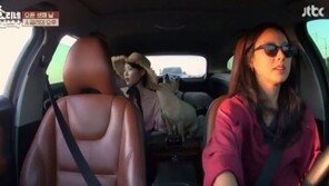 ‘효리네 민박’ 이효리 “연예인 친구 없다…서로 시기와 질투 있어”