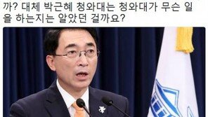 김진애, 靑 추가 문건에 “박근혜 정부, 정부였긴 했던 건가” 