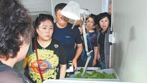 영흥도 ‘식용곤충농장’을 아시나요?