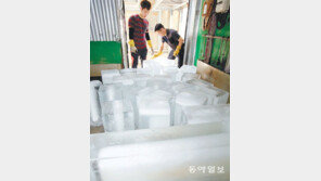 한여름에 더 바쁜 얼음 제조공장