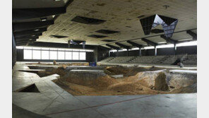 10년에 한번… 유럽 3대 미술행사 동시에 열린다