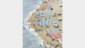 직장인 5명 중 1명 “여름휴가 계획無”…휴가 기간·날짜는?