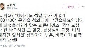 ‘靑 문건 추가 발견’ 김진애 “누가 어떻게 남기게 되었을까”