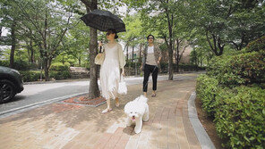 [오늘의 채널A] 김형규 가족의 ‘김윤아 규칙’