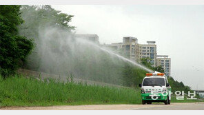 송도국제도시는 지금 ‘모기와의 전쟁’