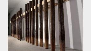 자연을 조각하다