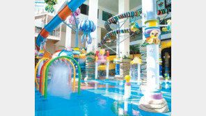 [Enjoy Life]온 가족이 쿨하게~ 즐기는 ‘물놀이 천국’ 