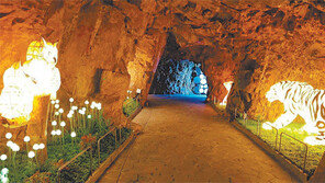 울산 日帝군수물자 보관 동굴, 관광 상품 재탄생