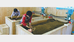 편백-삼나무 ‘피톤치드’ 기운으로 온몸 피로 싹∼