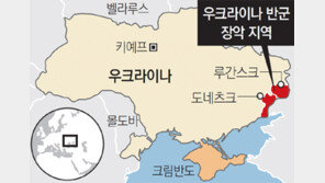 우크라 동부 친러 반군, 독립국가 선언