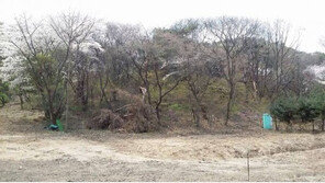 [화제의 분양현장]판교 창조경제밸리 인접 토지 매각… 교통인프라 우수 