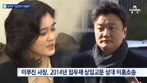 法 “이부진·임우재 이혼하되 임우재에 86억 지급”…임, 항소 의사[종합]