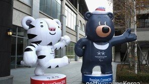 문화올림픽 선언한 평창, 현실적 해결과제는?