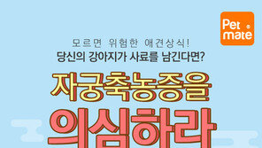 동물병원 원장이 알려주는 애견상식, 오늘은 자궁축농증입니다.