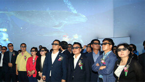 역동적인 고래의 모습, 5D로 감상하세요