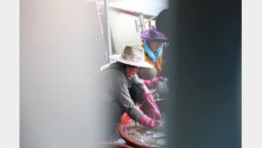 영부인 중 첫 수해복구 지원 김정숙 여사, 콕 집어 이장집 찾은 이유는…?