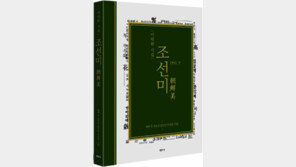 [책의 향기/밑줄긋기]조선미(朝鮮美)
