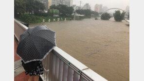 [동아 포토]집중호우로 침수된 불광천…산책로 범람