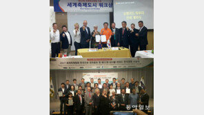 충남 보령머드축제 세계진출 가속화