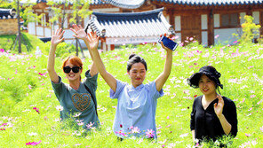 코스모스 밭에서 즐거운 시간