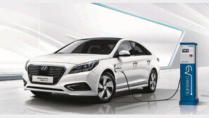 半전기차, 한국서만 찬밥 신세