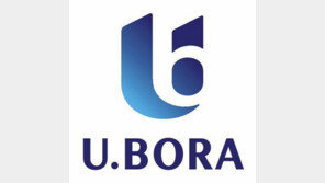 [화제의 분양현장]수도권 신도시에서 검증된 ‘반도유보라’ 