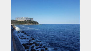 [화제의 분양현장]모든 객실이 ‘오션뷰’… 동해바다의 절경을 한눈에 담다 