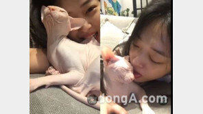 “깨물고, 혀로 핥고”…설리, 장어에 이어 고양이 ‘학대’ 논란