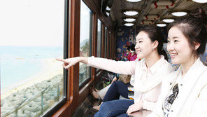 동해절경 즐기는 명품 기차여행, ‘바다열차’ 개통10주년