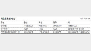 울산-포항-경주 ‘해오름동맹’, 2030년까지 한국형 메가시티 만든다