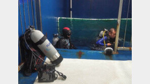 [청계천 옆 사진관]폭염에 직접 아쿠아리움으로 ‘풍덩’