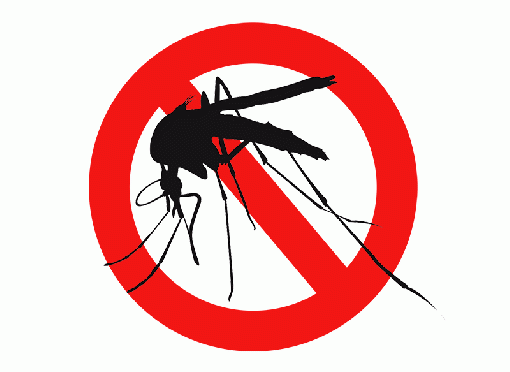 뜨거운 여름 시즌 불청객, 그것들을 피하는 방법