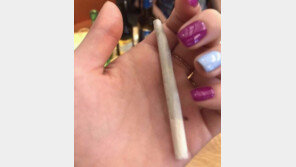 “담배야? 대마초야?”…구하라 SNS 사진 논란