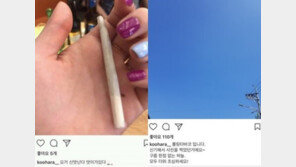 구하라 해명에 누리꾼 “신맛 난다더니 눈으로 맛을 보나?” vs “맛있다더라 전하는말”