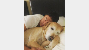 [#해시태그 컷] 다니엘 헤니, 반려견 망고와 ‘꿀잠’