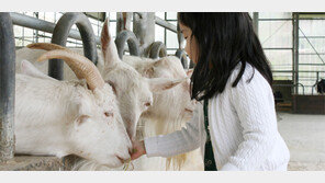 여름 휴가 시간이 천천히 흐르길 바란다면 이곳으로