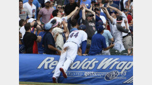 [Sports & Law Story] 야구공 잡으면 기념품 되는데 축구공 가져가면 절도죄…왜?