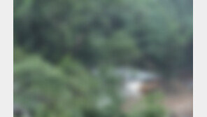 ‘누드펜션’ 논란, 어떤 곳이기에?…“나체로 휴가 즐겨, 불순한 의도? NO”