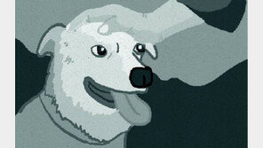 기차역에 버려진 아기, 유기견 무리가 보호…‘사람보다 犬가 낫네’