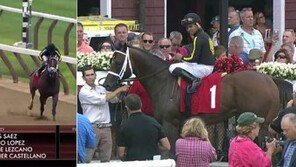 케이닉스 경주마, 미국서 또 일냈다