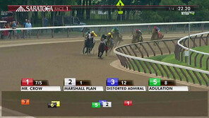 빛나는 Mr. Crow 우승…빛 받은 케이닉스 사업