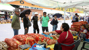 “가뭄 이겨낸 ‘명품 마늘’ 맛보러 오세요”