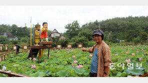 “효녀 심청 기리기 위해 10년간 ‘심청연’ 키웠어요”