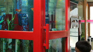 공중전화박스 모양 수족관