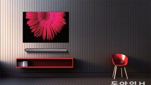 [data&]LG 올레드TV “1등 … 나야 나!”