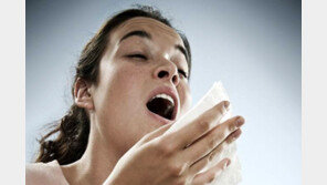 복숭아 알레르기? 10년 뒤면 걱정없이 먹을수도…